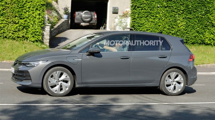 Volkswagen e-Golf Charging Guide Volkswagen e-Golf Charging Guide